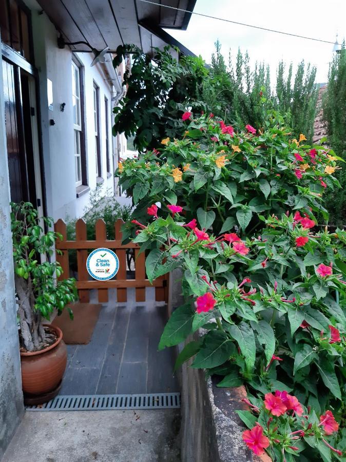 Casa Do Sr. Falcao Miranda do Corvo Exterior photo
