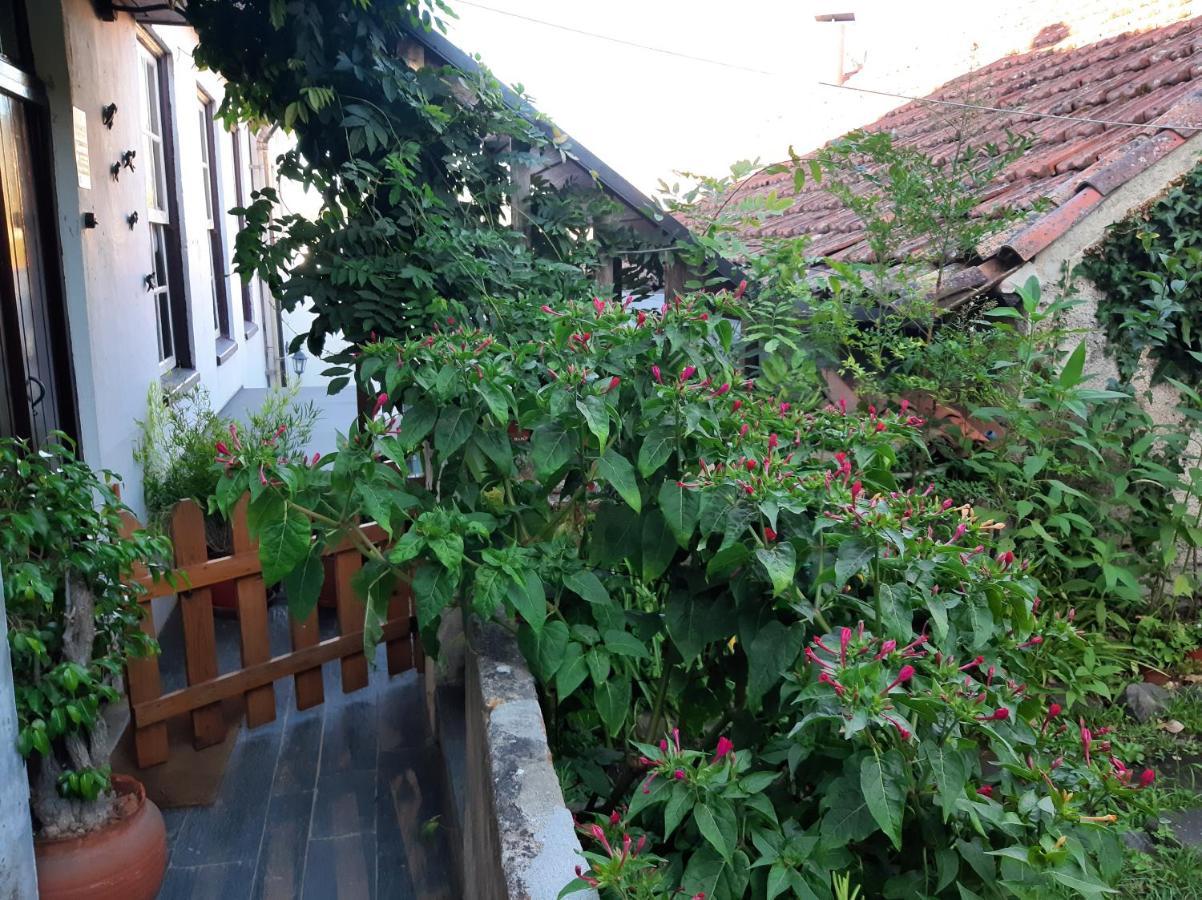 Casa Do Sr. Falcao Miranda do Corvo Exterior photo